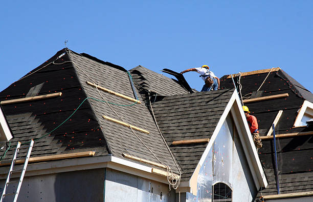 Best Roof Gutter Cleaning  in Cranston, RI
